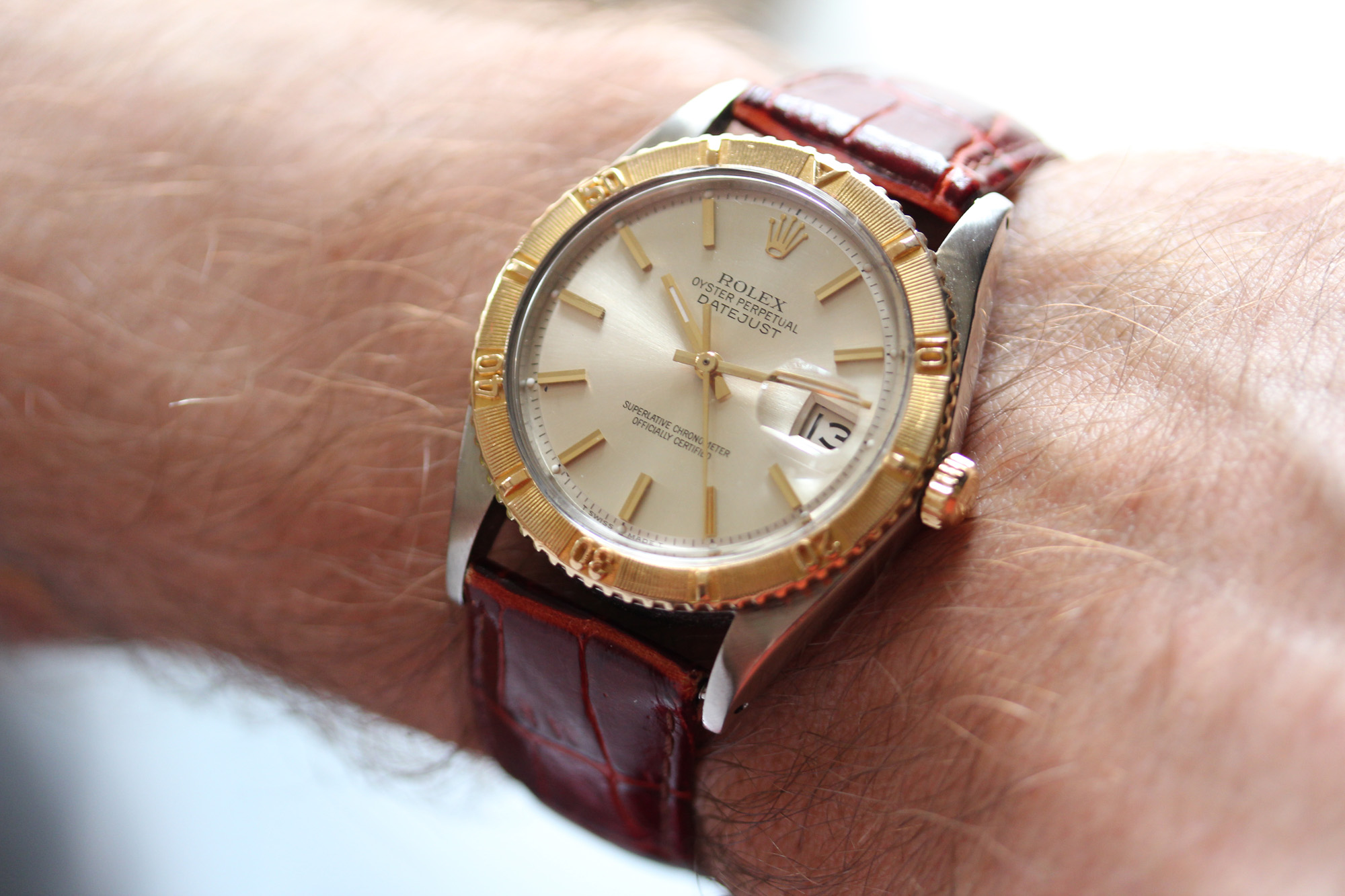 Rolex Turn-O-Graph Thunderbird - Wristshot
