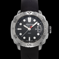 Alpina Seastrong Lady Diver 300