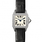 Cartier Santos Demoiselle Mini Model Quartz White Gold