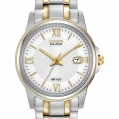 Citizen Eco-Drive Ladies Bracelet