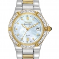 Citizen Eco-Drive Ladies Riva