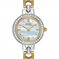 Citizen Eco-Drive Ladies Silhouette