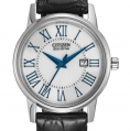 Citizen Eco-Drive Ladies Strap