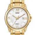 Citizen Eco-Drive Men's Bracelet