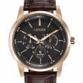 Citizen Eco-Drive Men's Dress