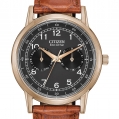 Citizen Eco-Drive Men's Strap