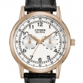 Citizen Eco-Drive Men's Strap