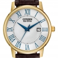 Citizen Eco-Drive Men's Strap