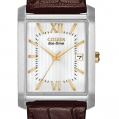 Citizen Eco-Drive Men's Strap