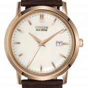 Citizen Eco-Drive Men's Strap