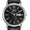 Citizen Eco-Drive Men's Strap