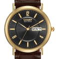 Citizen Eco-Drive Men's Strap