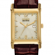 Citizen Eco-Drive Men's Strap