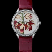 Vacheron Constantin Metiers D'Art Ladies Florilege - China Limodoron